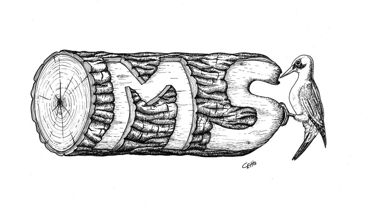 ms