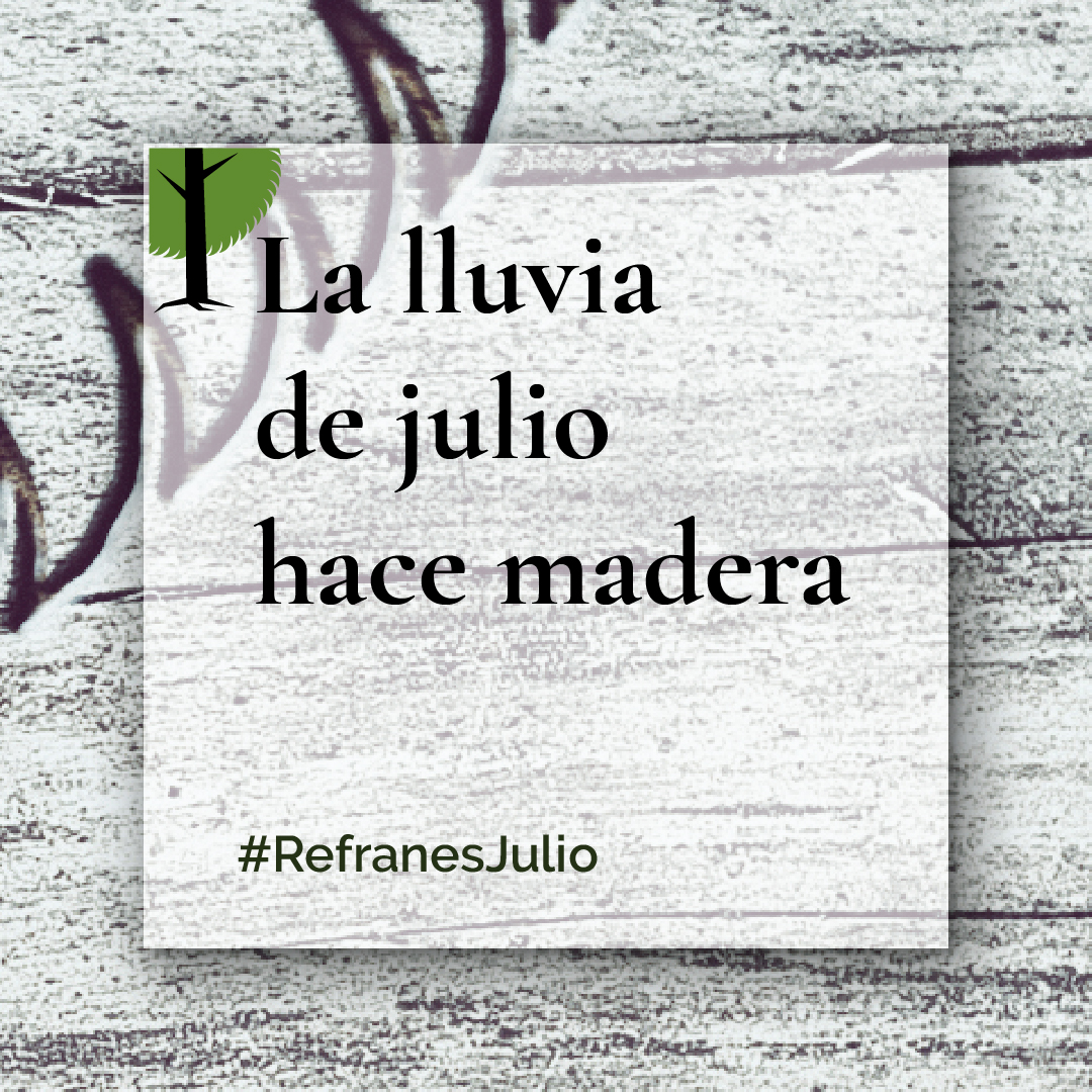 julioig 7-100