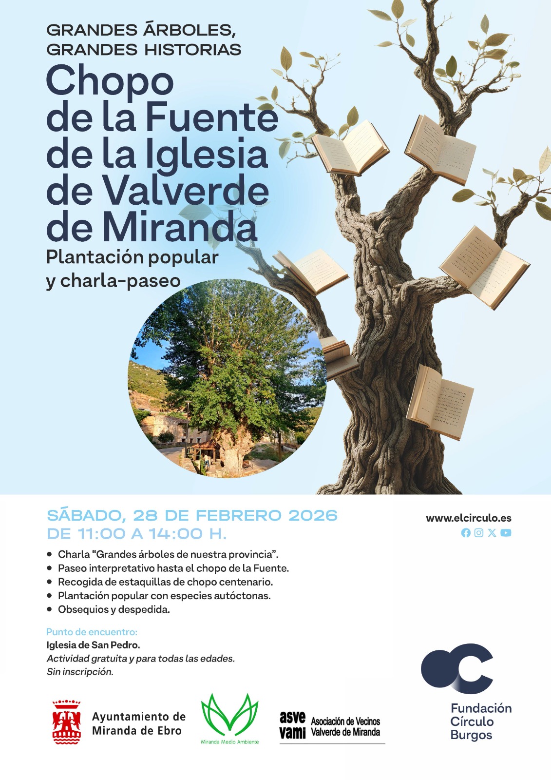 chopo_iglesia_valverde