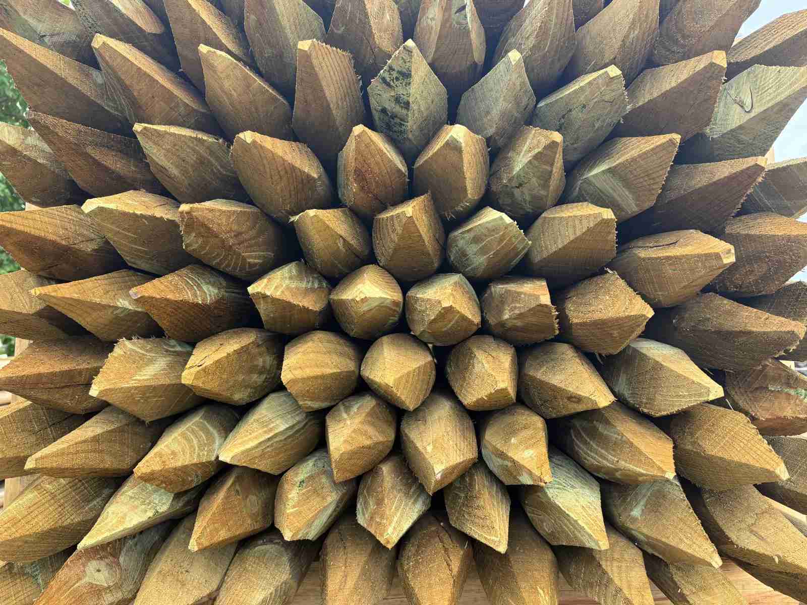 op_MS_4