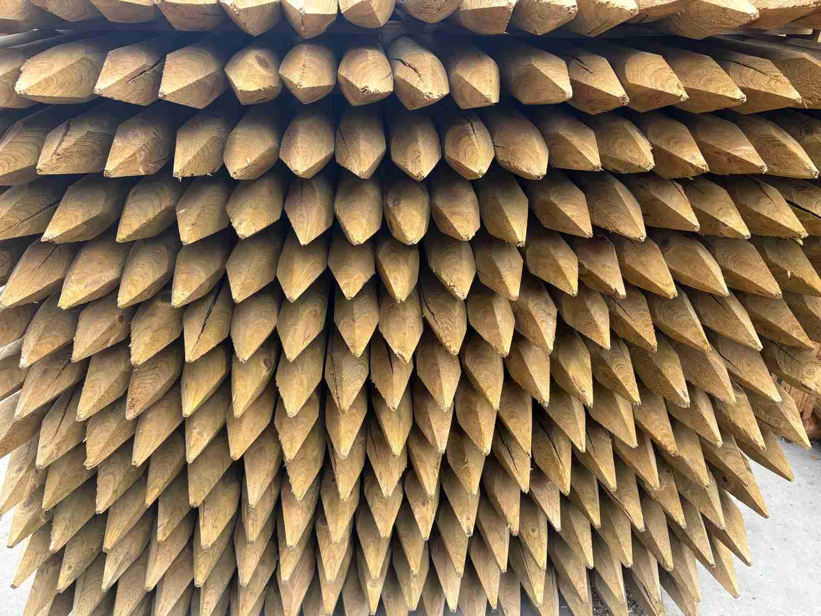 op_MS_5